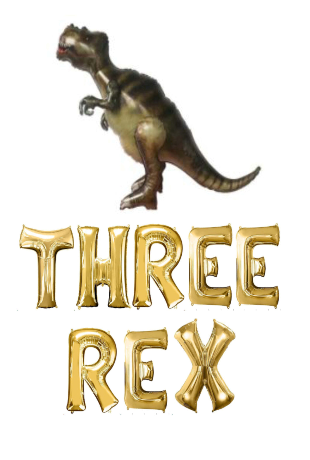 Three Rex Birthday Decorations