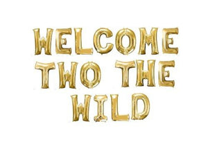 Two Wild Banner